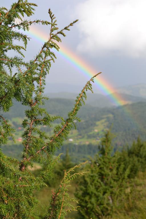 Willa Eco House Butinar Kosmach Zewnętrze zdjęcie